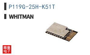 P119G-25H-K51T ͼƬ